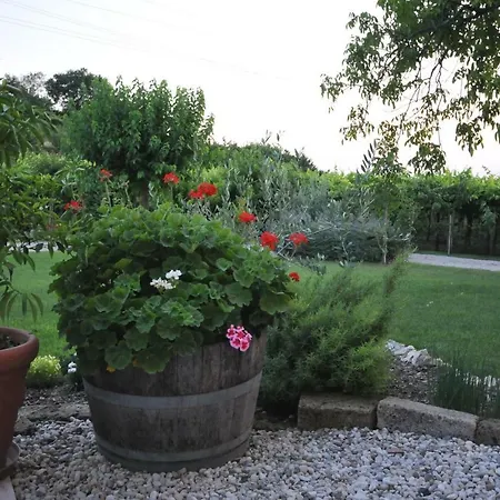 Farm stay Corte Albarel
